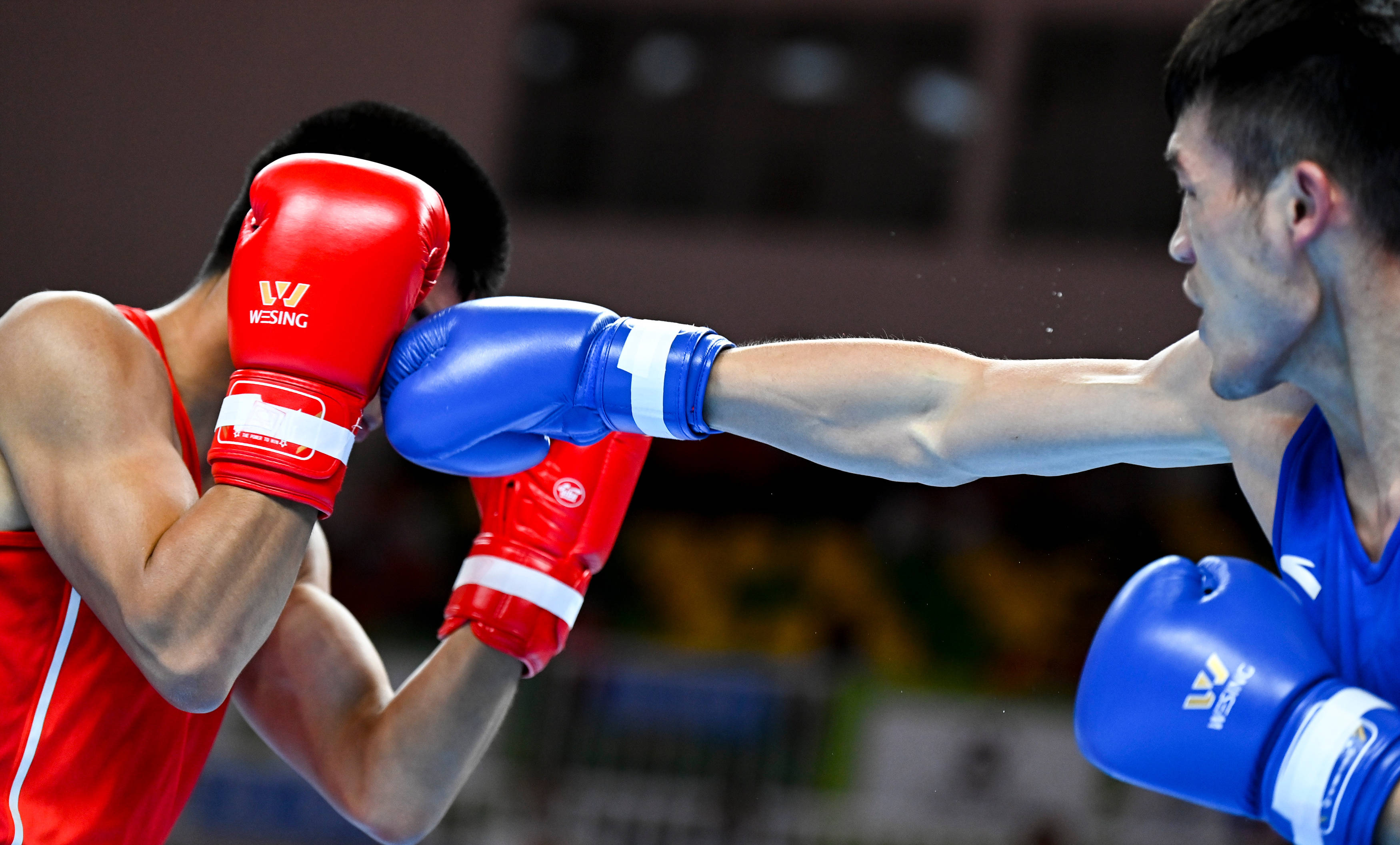 巴拿马拳击队喜迎胜利现场爆棚